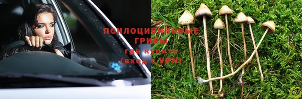 гидропоника Весьегонск