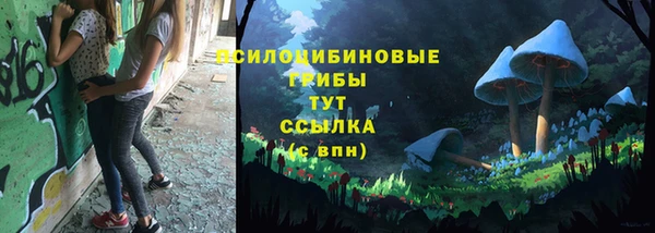 мдпв Володарск
