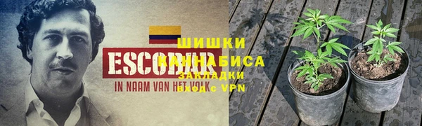 мдпв Володарск