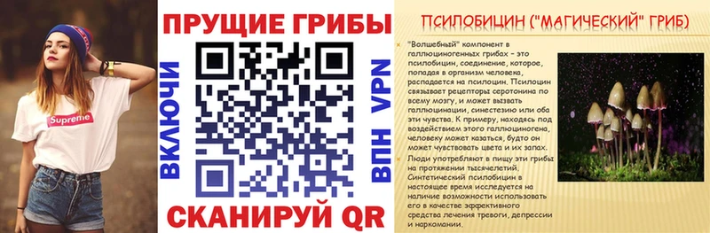 наркота гидра ссылка Псилоцибиновые грибы Magic Shrooms Касимов